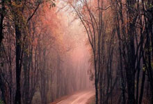 西甲第23輪巴塞羅那4-2馬德裏競技 阿爾維斯傳射+染紅.