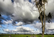 西班牙媒體:最佳狀態下,米利唐可能能夠參加歐冠1/8決賽第二回合的比賽.