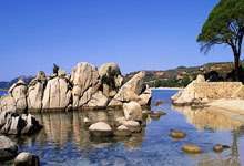 西媒評武磊西班牙人 出場次數位列球隊外援第19位.